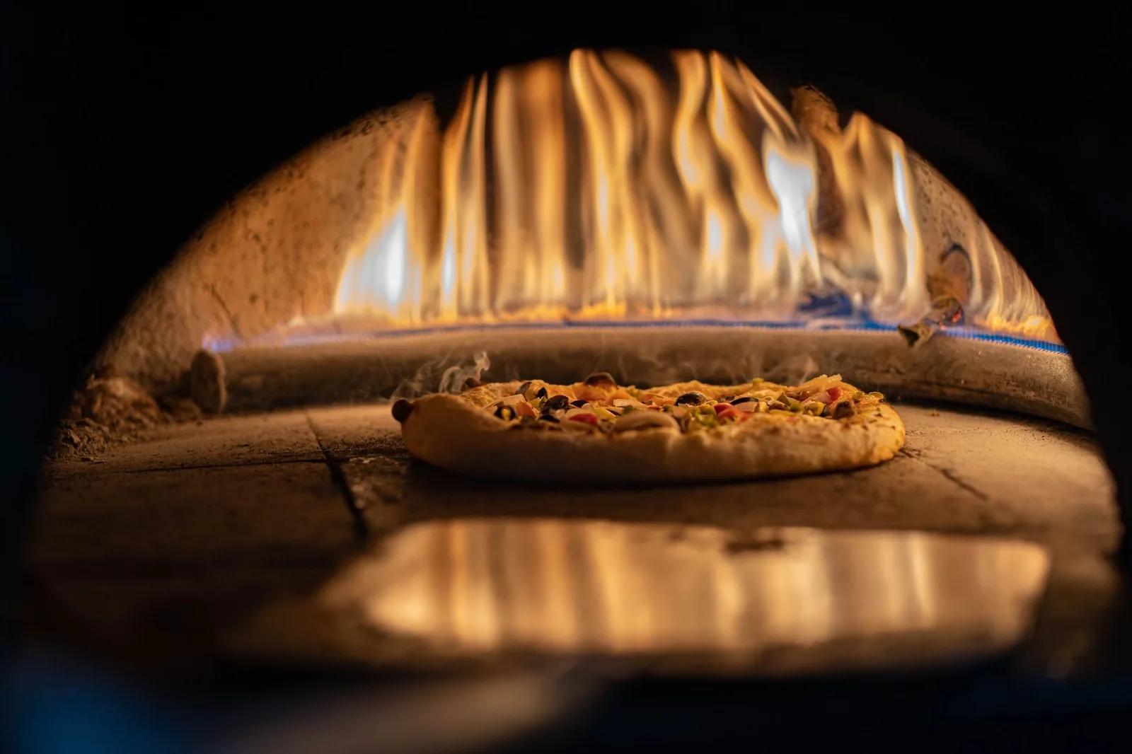 Pizza oven best price comparison by type